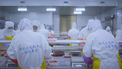 全國(guó)首個(gè)小龍蝦加工基地揭牌 全鏈賦能‘蝦’經(jīng)濟(jì)，助力鄉(xiāng)村振興與技術(shù)推廣